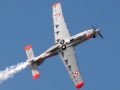 PZL Warszawa Orlik