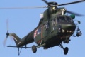 PZL Świdnik Sokół