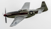 Cavalier F-51D Mustang	