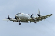 Lockheed P-3 Orion