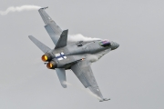 McDonnell Douglas F-18 Hornet