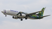 Boeing 737-800